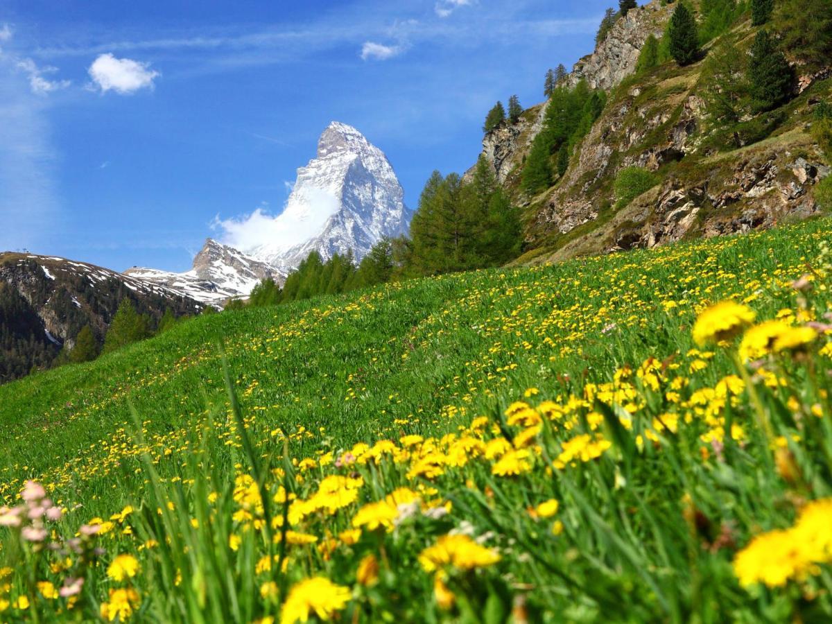 Apartment La Prairie By Interhome Zermatt Eksteriør bilde